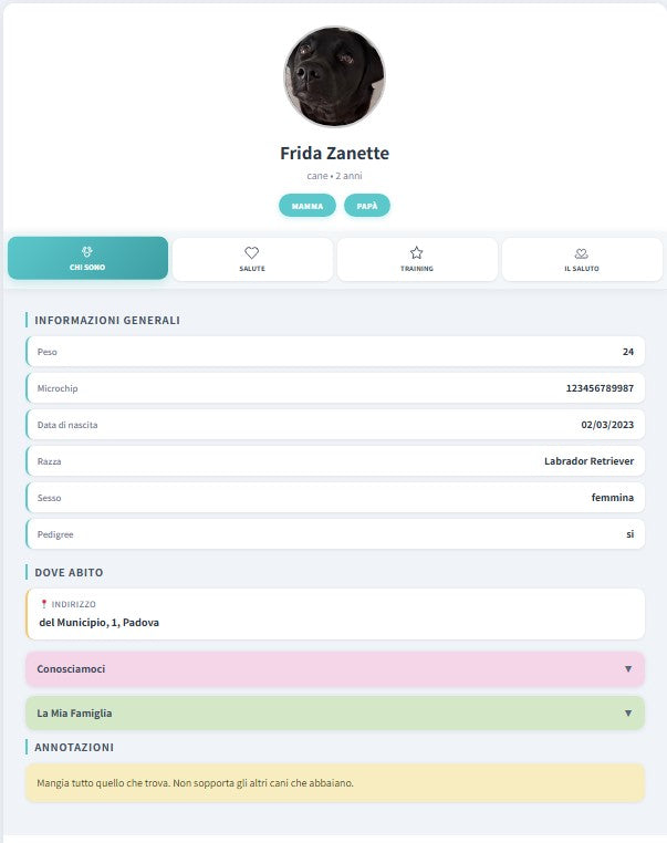 Medaglietta NFC Cane con Profilo Digitale – Osso ALI – Bordeaux – Base